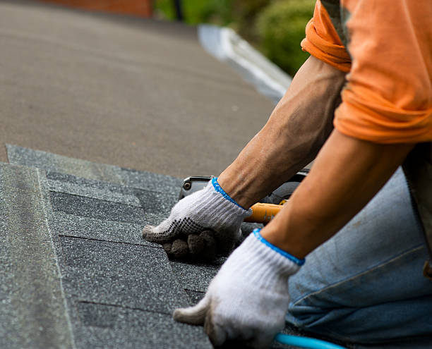 Best Roof Repair Services  in Ames, IA