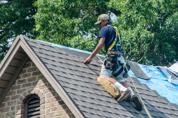 Best Metal Roofing Contractor  in Ames, IA